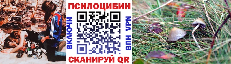 Псилоцибиновые грибы ЛСД Судак