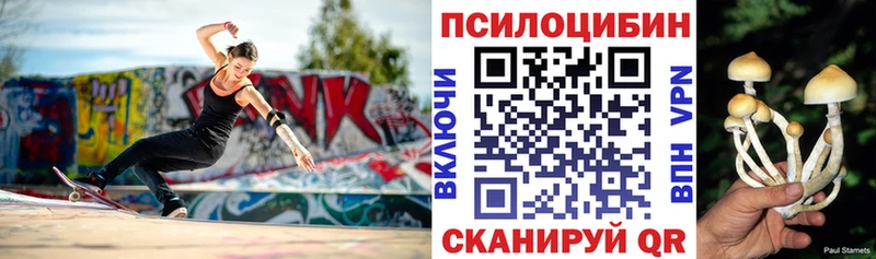 Псилоцибиновые грибы мицелий  купить наркоту  Судак 